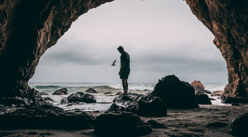 découvrez l'univers fascinant des caves, de leur histoire à leur utilisation moderne. explorez les différents types de caves, leurs caractéristiques, et comment elles peuvent enrichir votre expérience de vin et de gastronomie. que vous soyez amateur de vin ou simplement curieux, plongez dans le monde des caves.