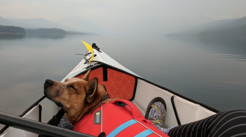 découvrez le kayak, un sport nautique captivant qui combine aventure et détente. explorez des rivières paisibles et des lacs sereins tout en profitant de la nature. que vous soyez débutant ou expert, embarquez pour une expérience inoubliable en plein air.