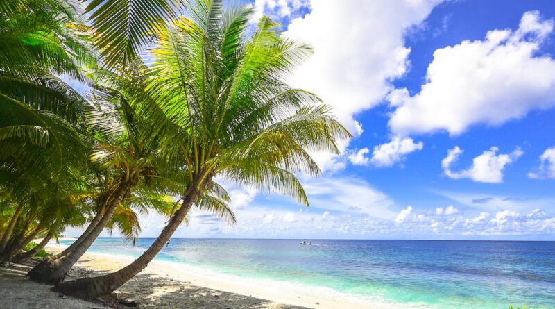 découvrez les plages paradisiaques, où le sable fin et les eaux cristallines s'unissent pour créer un havre de paix. profitez d'activités en bord de mer, de paysages magnifiques et de moments inoubliables sous le soleil.