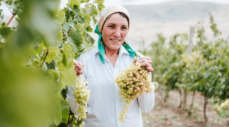 découvrez l'authenticité du terroir français à travers ses produits locaux, ses paysages enchanteurs et ses traditions culinaires. plongez dans un voyage sensoriel au cœur des saveurs et des savoir-faire d'exception.