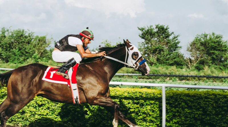 découvrez l'univers passionnant des courses de chevaux, où l'adrénaline et la stratégie se rencontrent. suivez les derniers résultats, les chevaux prometteurs et les événements incontournables du monde des courses. plongez dans cette aventure sportive captivante !