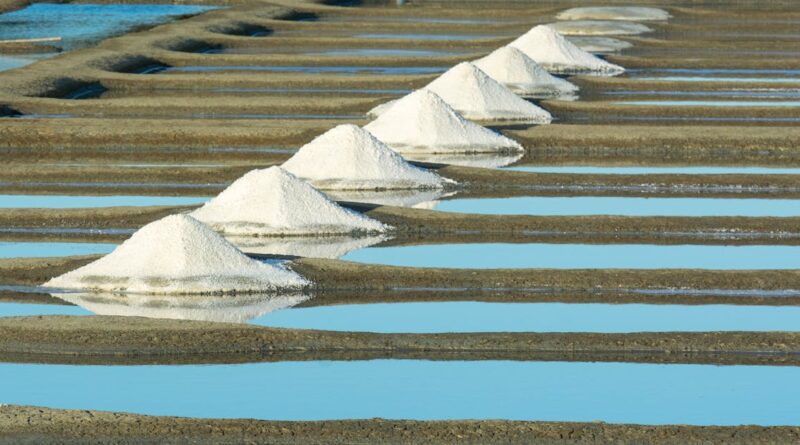 découvrez l'univers fascinant des marais salants, un écosystème unique où se mêlent paysages marins et biodiversité riche. explorez leur importance écologique, leur rôle dans la régulation climatique et les activités humaines qui les menacent. plongez dans la beauté sauvage et préservée des marais salants.