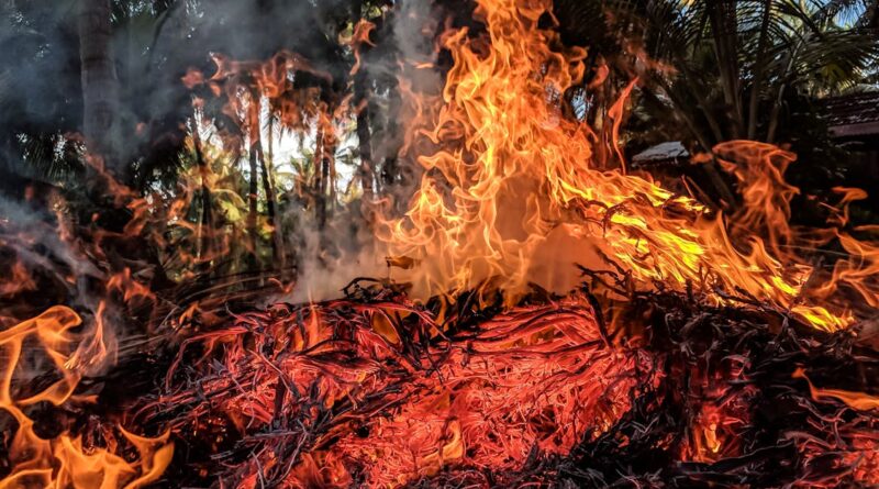 découvrez le thermalism, une approche holistique du bien-être basée sur les bienfaits des eaux thermales. explorez les traitements, les techniques de relaxation et les avantages pour la santé offerts par cette pratique millénaire, idéale pour revitaliser le corps et l'esprit.
