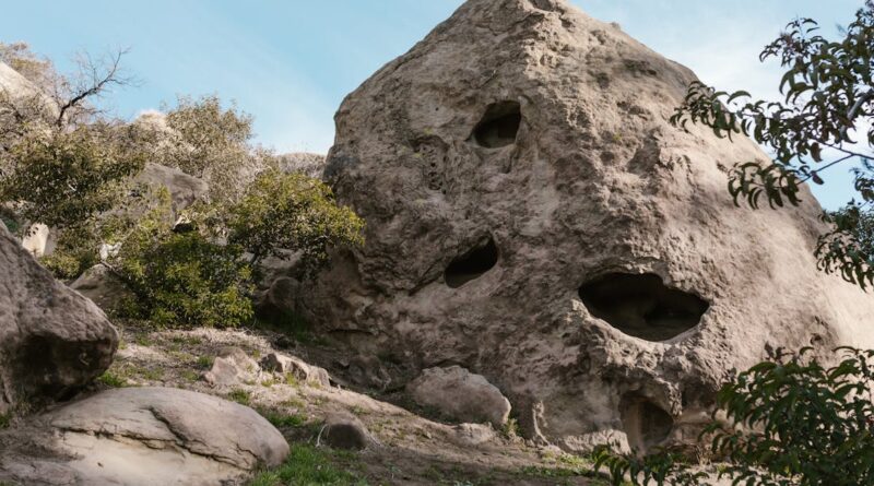 découvrez l'univers fascinant des caves : guide des différents types, conseils pour l'aménagement et astuces pour la conservation de vos vins. plongez dans un monde souterrain riche en histoire et en saveurs.