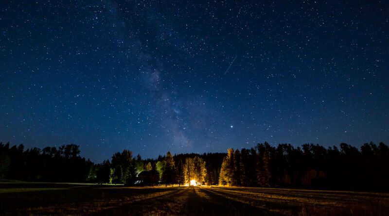 découvrez le plaisir du camping naturiste dans un cadre idyllique, où la nature rencontre la liberté. profitez de moments de détente, d'activités en plein air et d'une ambiance conviviale tout en vous reconnectant avec vous-même et la nature.