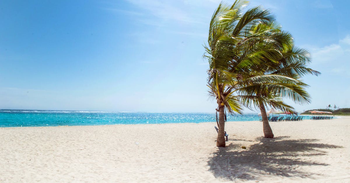 découvrez l'évasion ultime à la plage : sable chaud, vagues apaisantes et paysages à couper le souffle. profitez d'activités nautiques, de moments de détente au soleil et créez des souvenirs inoubliables en bord de mer.
