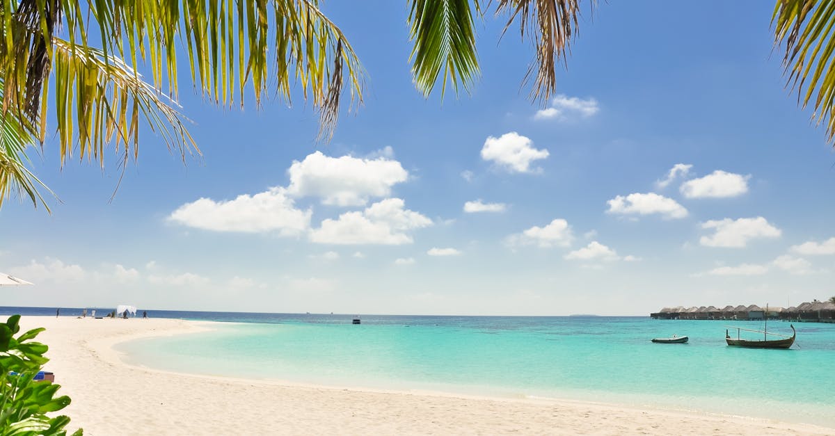 découvrez les plus belles plages du monde, où le sable fin et les eaux cristallines vous invitent à la détente et à l'évasion. plongez dans un paradis balnéaire, profitez de paysages époustouflants et laissez-vous séduire par l'ambiance ensoleillée des côtes.