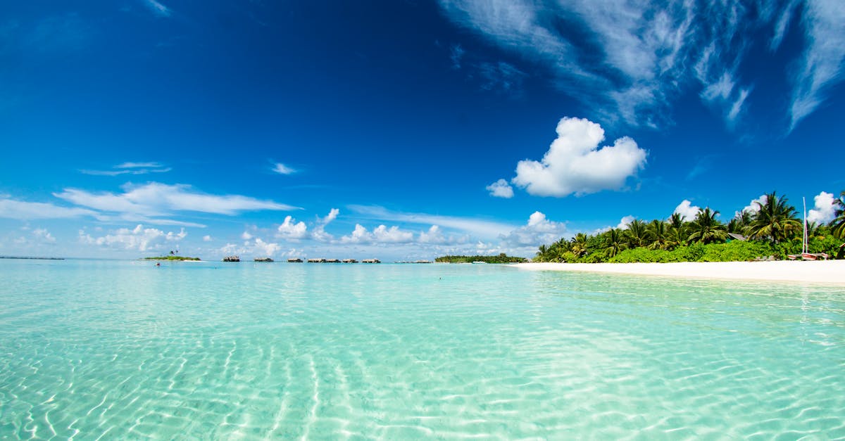 découvrez les plaisirs de la plage : sable chaud, vagues apaisantes et soleil éclatant. profitez d'activités nautiques, de moments de détente au bord de l'eau et d'une ambiance estivale inoubliable.