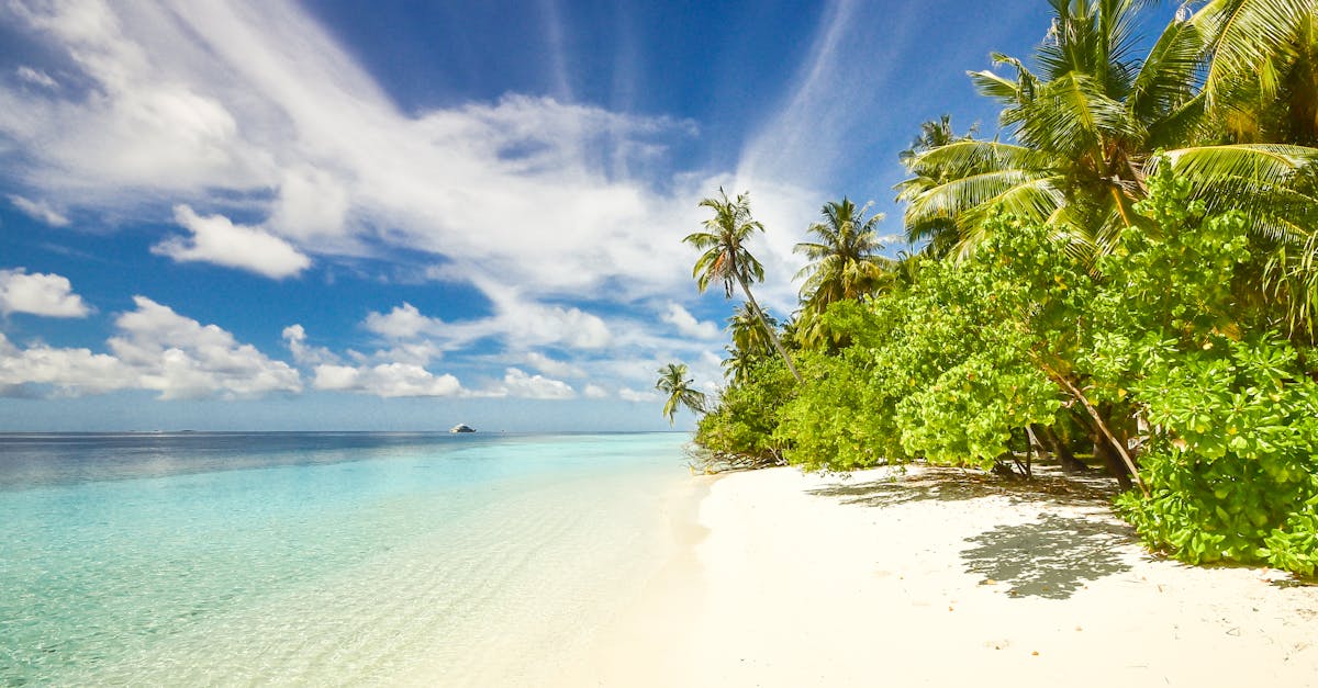 découvrez les plus belles plages du monde, des paysages à couper le souffle, du sable fin et des eaux cristallines. que vous recherchiez détente, sports nautiques ou escapades en famille, notre guide des plages vous aidera à trouver votre coin de paradis.