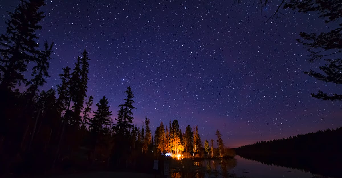découvrez des escapades inoubliables en pleine nature avec notre guide complet sur le camping. trouvez des conseils pour choisir votre emplacement, des astuces pour monter votre tente et des idées d'activités en plein air pour profiter au maximum de votre expérience.