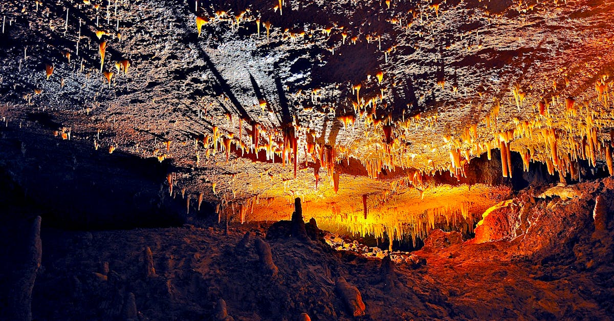 découvrez l'univers fascinant des caves : un voyage à travers l'histoire, la vinification et les meilleures pratiques de conservation. explorez les différents types de caves, leurs caractéristiques et apprenez comment optimiser votre collection de vins.
