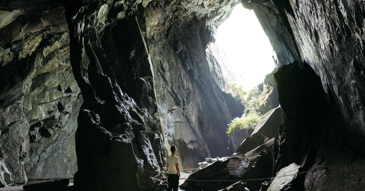 découvrez l'univers fascinant des caves : un guide complet sur les différents types de caves, leur utilisation, et des conseils pour bien les aménager. plongez dans l'art de la vinification et de la stockage, et apprenez à créer un espace unique pour vos bouteilles.