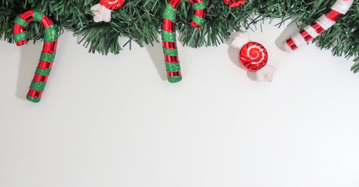 découvrez la magie de noël avec des idées de décoration, des recettes festives et des activités enchantées pour célébrer cette période spéciale en famille et entre amis.