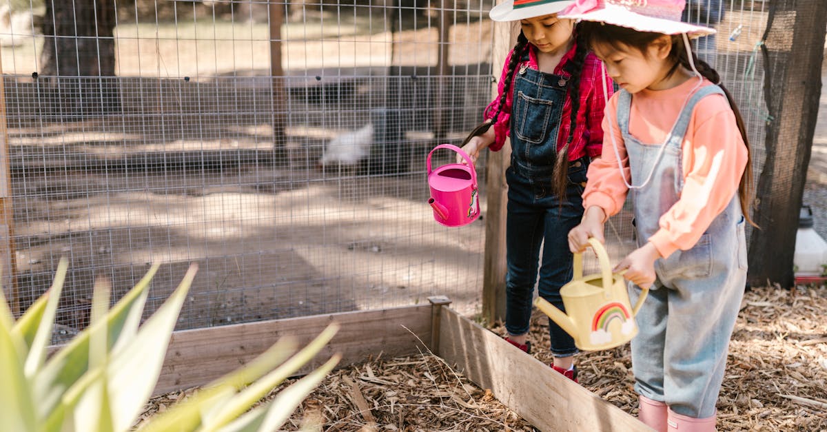découvrez notre ferme éducative, un lieu unique où petits et grands apprennent sur l'agriculture, la nature et le bien-être animal à travers des ateliers interactifs et des visites immersives. profitez de moments inoubliables en famille tout en développant vos connaissances sur le monde rural.