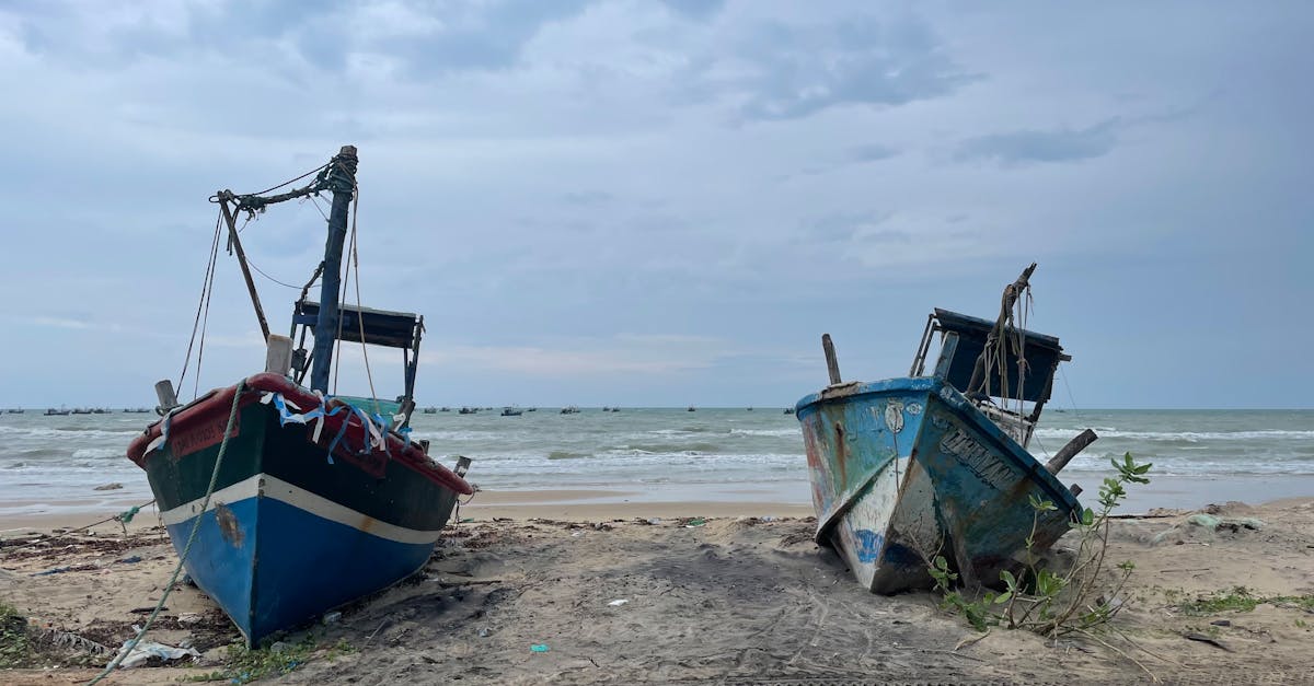 découvrez notre guide de pêche complet qui vous aidera à choisir les meilleurs endroits, les techniques efficaces et les équipements indispensables pour une journée réussie au bord de l'eau. que vous soyez débutant ou expert, trouvez des conseils pratiques et des astuces pour optimiser votre expérience de pêche.