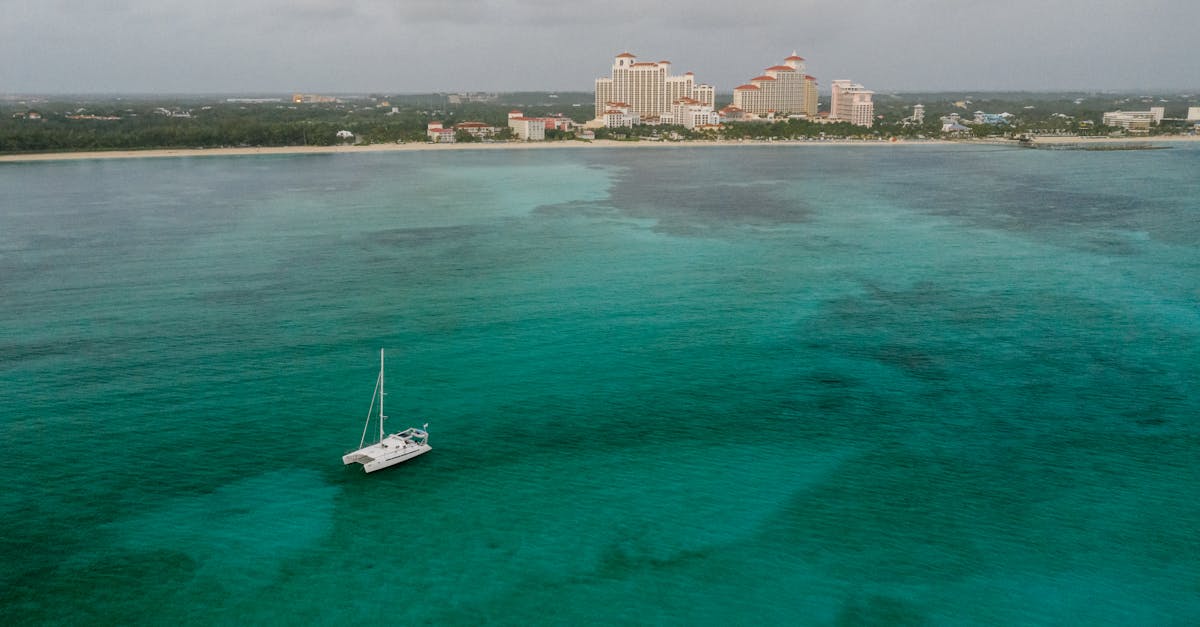 découvrez le grand chalet beach hotel, un refuge balnéaire parfait alliant confort et élégance. profitez de vues imprenables sur la mer, d'hébergements luxueux et d'activités variées pour un séjour inoubliable en bord de mer. réservez dès maintenant et vivez l'expérience unique d'un cadre naturel apaisant.