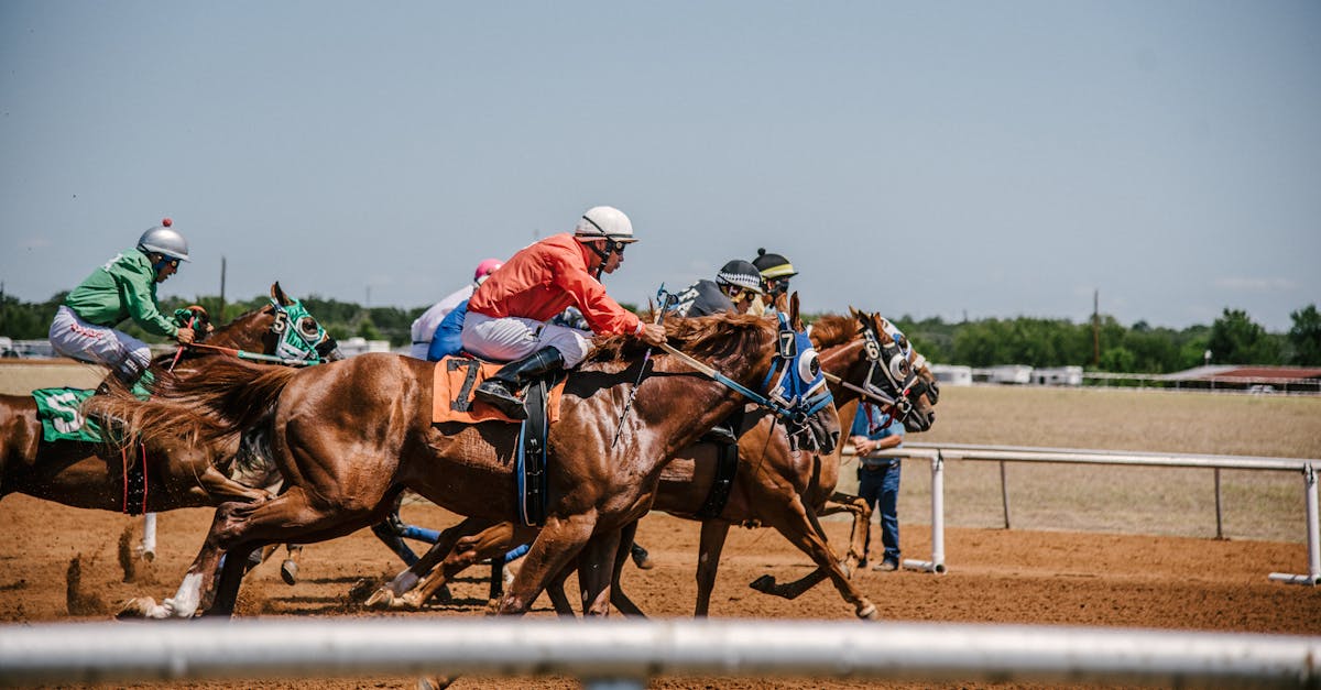 découvrez l'univers passionnant des courses de chevaux : enjeux, stratégies, et émotions au rendez-vous. suivez les jockeys et leurs montures sur les pistes et plongez dans l'adrénaline des compétitions équestres captivantes.
