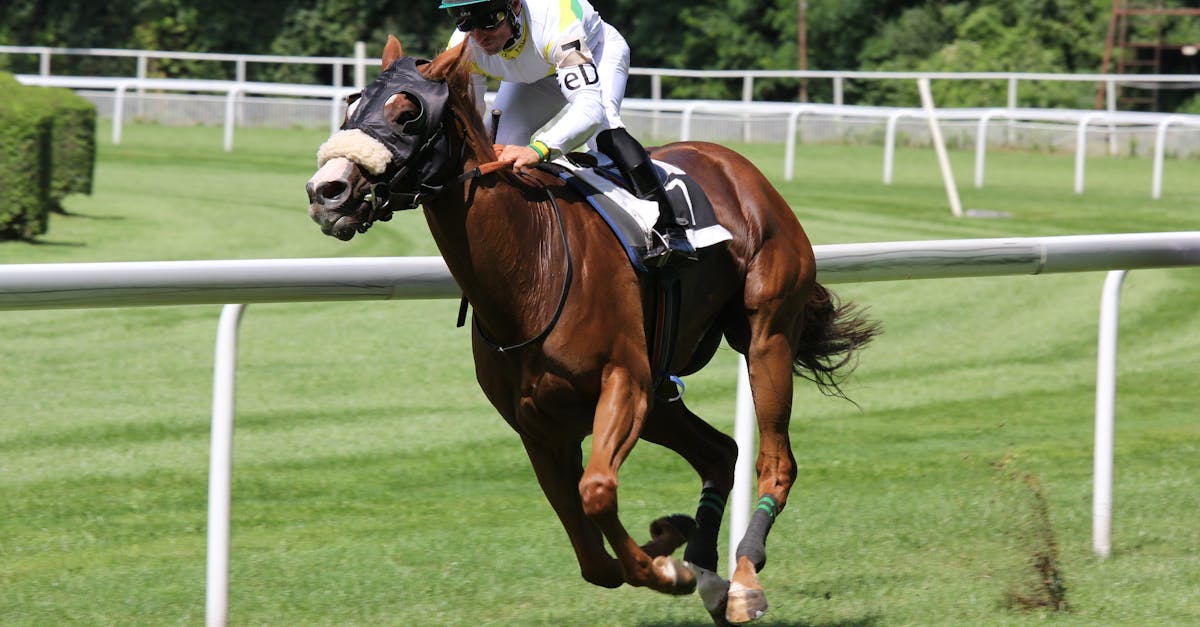 découvrez l'univers palpitant des courses de chevaux, où la vitesse et l'émotion s'entremêlent. suivez les compétitions, apprenez les secrets des jockeys et plongez dans l'histoire fascinante de ce sport équestre. rejoignez-nous pour vivre chaque instant trépidant des courses de galop!