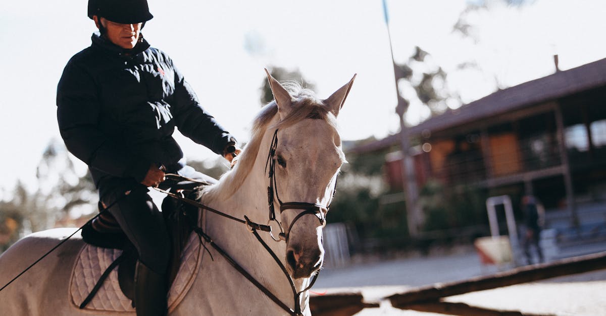découvrez le plaisir de l'équitation avec nos cours de randonnée à cheval. que vous soyez débutant ou cavalier expérimenté, profitez de balades inoubliables à travers des paysages pittoresques.