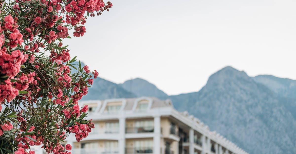 découvrez notre sélection d'hôtels de qualité pour des séjours inoubliables. que vous cherchiez un hôtel de luxe, un hébergement économique ou une expérience unique, nous avons le choix parfait pour répondre à vos besoins.