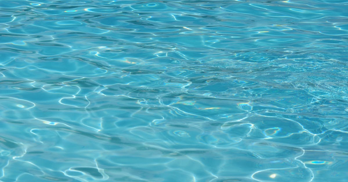 découvrez notre piscine municipale, un espace idéal pour se rafraîchir, se détendre et pratiquer des activités aquatiques en famille ou entre amis. profitez d'installations modernes, de cours de natation et d'événements toute l'année. rejoignez-nous pour une expérience aquatique inoubliable !