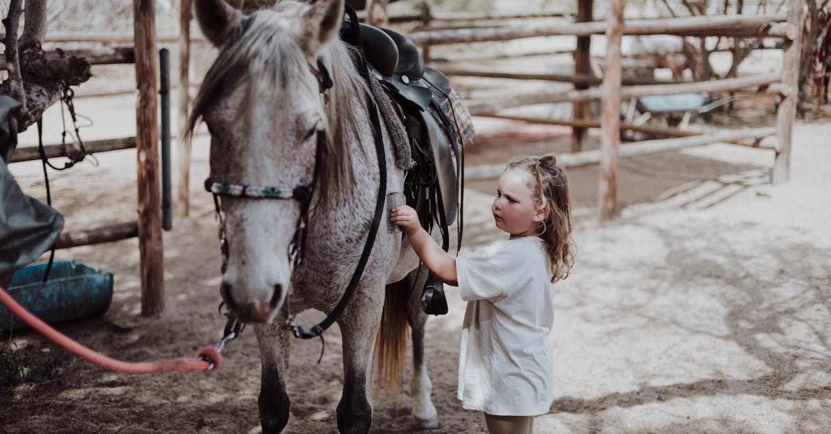 découvrez l'univers du rancho, entre tradition et aventure ! plongez dans l'art de vivre authentique des ranchs, explorez des paysages à couper le souffle et savourez des activités équestres uniques. parfait pour les amoureux de la nature et les amateurs d'escapades dépaysantes.