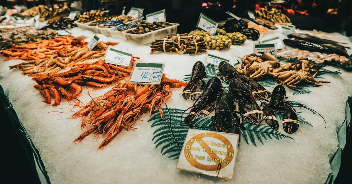 découvrez le marché aux poissons de royan, une véritable institution locale où la fraîcheur et la qualité des produits de la mer sont à l'honneur. explorez notre sélection de poissons, crustacés et spécialités maritimes directement issus de la pêche locale, pour une expérience gustative inoubliable en bord de mer.