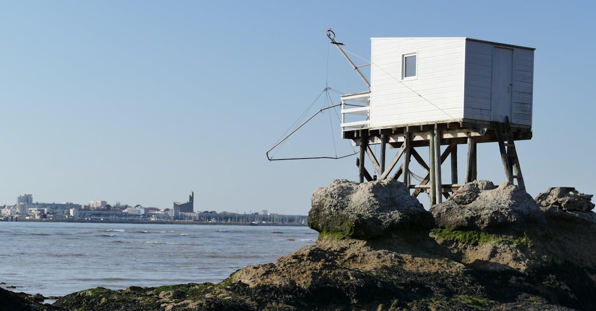 découvrez saint-georges-de-didonne, charmante station balnéaire sur la côte atlantique, offrant plages, paysages pittoresques et activités pour toute la famille. profitez d'authenticité, de gastronomie locale et d'une ambiance conviviale au cœur de la charente-maritime.