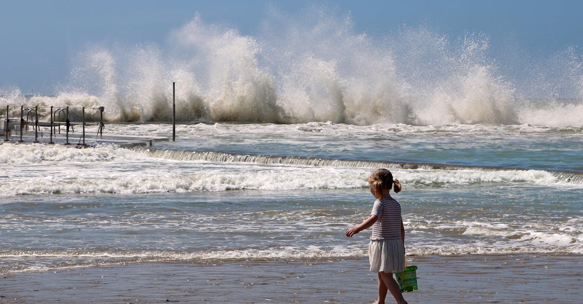 découvrez saint-palais-sur-mer, une charmante station balnéaire sur la côte atlantique française, connue pour ses plages de sable fin, ses paysages pittoresques et son ambiance conviviale. profitez d'activités nautiques, de balades en bord de mer et de la délicieuse cuisine locale dans ce paradis ensoleillé.