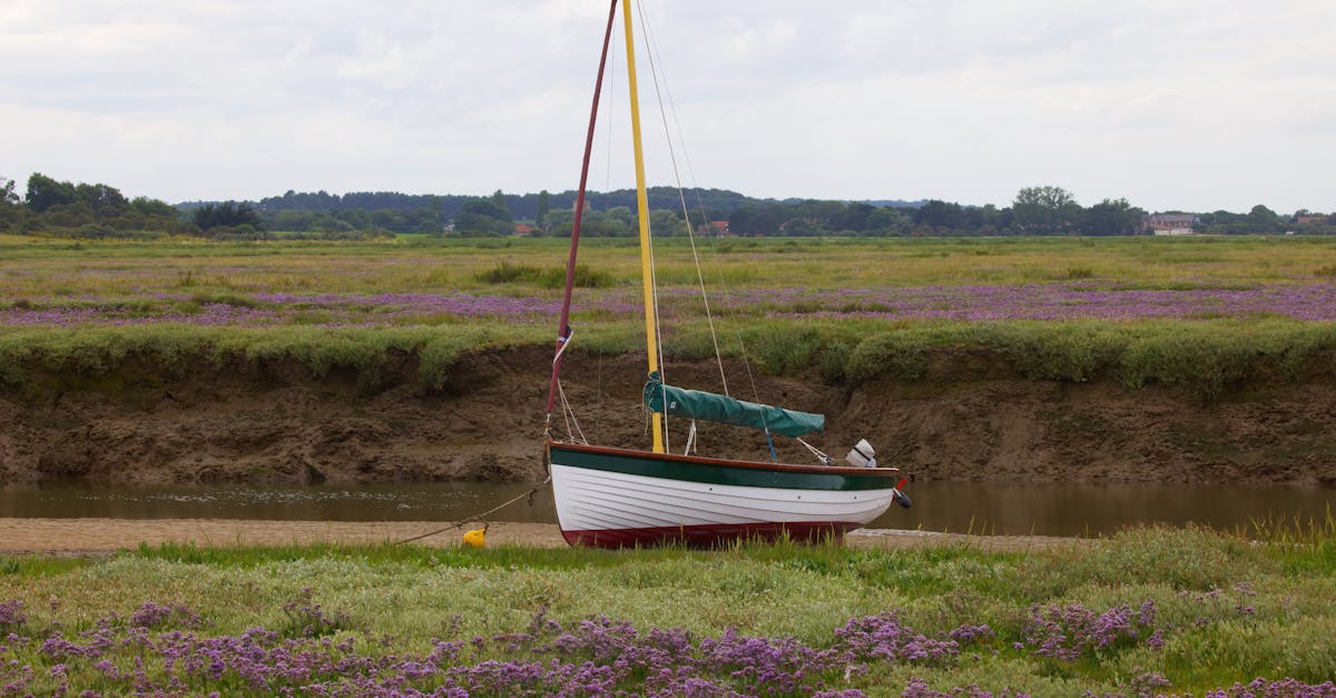 découvrez l'écosystème fascinant des marais salants, des zones humides riches en biodiversité où flore et faune s'épanouissent dans un environnement salin unique. explorez leur importance écologique et leur rôle dans la protection des côtes.