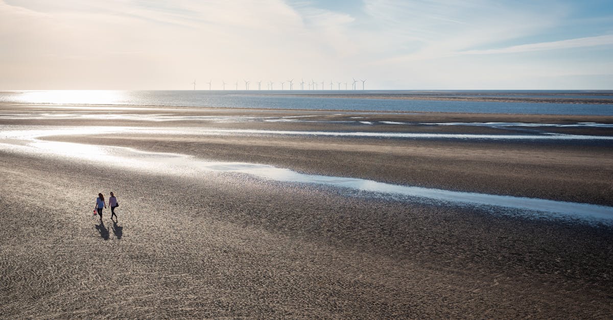 découvrez le sand-yachting, une activité unique de navigation sur sable qui allie sensations fortes et paysages époustouflants. parfait pour les amateurs de sports extrêmes et les passionnés de nature, cette expérience vous garantira des moments inoubliables sur les plages et les dunes. partez à l'aventure et vivez des sensations inégalées au volant de votre yacht de sable !