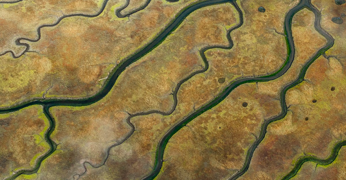 découvrez les marées et leur impact fascinant sur notre planète. apprenez comment les forces lunaires et solaires influencent le mouvement de l'eau, les écosystèmes côtiers et bien plus encore.