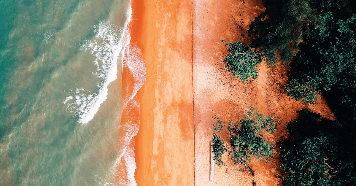 découvrez tout sur les marées : leurs causes, leurs effets sur l'environnement et leur importance pour la navigation et la pêche. informez-vous sur les meilleures pratiques pour profiter des astreintes maritimes.