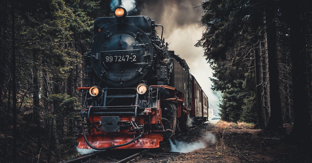 découvrez l'univers fascinant des trains : un moyen de transport emblématique alliant confort, rapidité et paysages à couper le souffle. explorez les lignes mythiques, les destinations variées et les innovations technologiques qui font du voyage en train une expérience inoubliable.