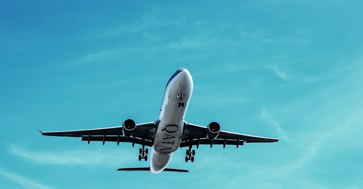découvrez nos solutions de transport variées et adaptées à tous vos besoins. que ce soit pour vos déplacements quotidiens, vos voyages d'affaires ou vos livraisons, nous mettons à votre disposition un service fiable et efficace pour un transport en toute tranquillité.