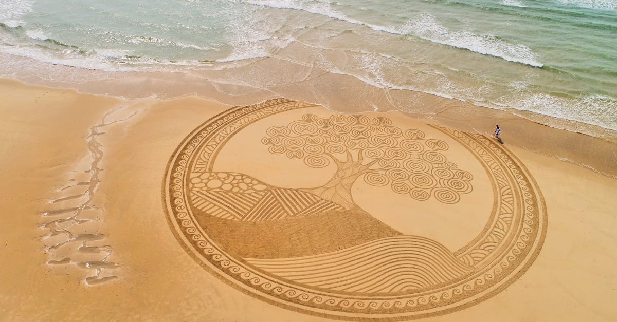 découvrez tremblade, une charmante station balnéaire de la côte atlantique française, réputée pour ses plages de sable fin, ses activités nautiques et sa gastronomie locale. explorez son riche patrimoine culturel et profitez d'un cadre naturel exceptionnel entre mer et nature.