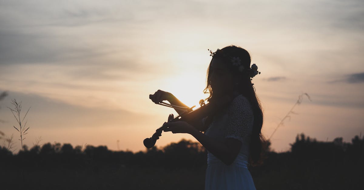 découvrez l'univers enchanteur du violon : un instrument de musique aux sonorités riches et variées, parfait pour exprimer des émotions profondes. apprenez les techniques, les styles et l'histoire du violon, que vous soyez débutant ou musicien confirmé.