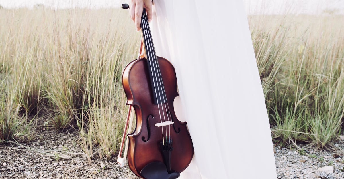 découvrez l'univers captivant du violon, cet instrument à cordes emblématique, et apprenez-en davantage sur son histoire, sa technique et ses sonorités envoûtantes. que vous soyez débutant ou musicien aguerri, plongez dans l'art de jouer du violon avec nos conseils, tutoriels et ressources.