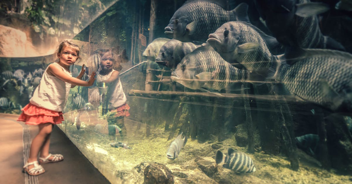 découvrez la magie du monde animal au zoo, un lieu fascinant où vous pourrez observer des espèces rares et en danger, en apprendre davantage sur la conservation et passer des moments inoubliables en famille ou entre amis.