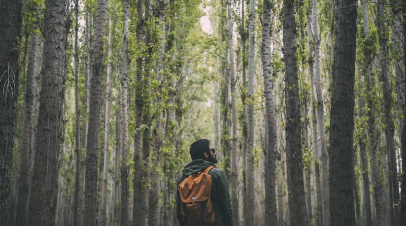 découvrez les meilleures randonnées à travers des paysages époustouflants. que vous soyez débutant ou passionné de trekking, trouvez des conseils, des itinéraires et des astuces pour profiter pleinement de vos aventures en pleine nature.