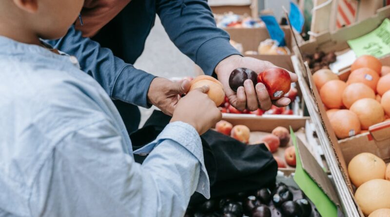découvrez les producteurs locaux qui mettent en valeur les richesses de notre terroir. soutenez l'agriculture durable et savourez des produits frais, authentiques et de qualité, directement issus de la passion et du savoir-faire des artisans de votre région.
