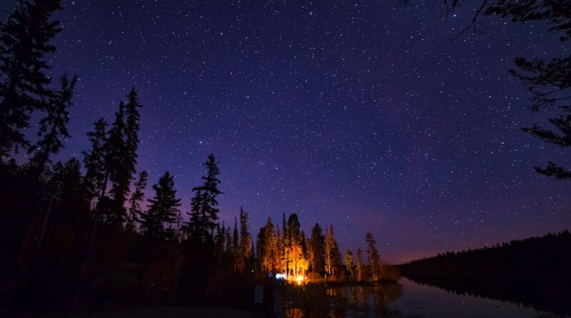 découvrez l'univers du camping : des conseils pour choisir votre emplacement idéal, des astuces pour vivre en pleine nature et des destinations de rêve. profitez d'une expérience inoubliable en plein air, entre aventure et détente.