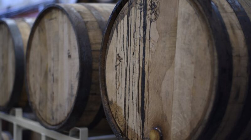 découvrez l'univers fascinant du vin, de ses traditions viticoles aux différentes variétés de cépages. apprenez à déguster, choisir et apprécier les meilleures bouteilles pour sublimer vos repas et vos occasions spéciales.