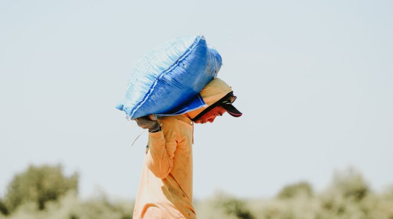 découvrez l'univers fascinant des producteurs de sel, répertoriant les techniques traditionnelles et modernes utilisées pour récolter ce trésor naturel. plongez dans l'artisanat du sel, son importance dans notre cuisine et son rôle dans l'économie locale.