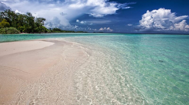 découvrez les plages les plus magnifiques du monde, de sable fin et d'eaux cristallines. profitez d'une escapade ensoleillée, d'activités nautiques passionnantes et de paysages à couper le souffle. parfait pour les amateurs de détente et d'aventure !