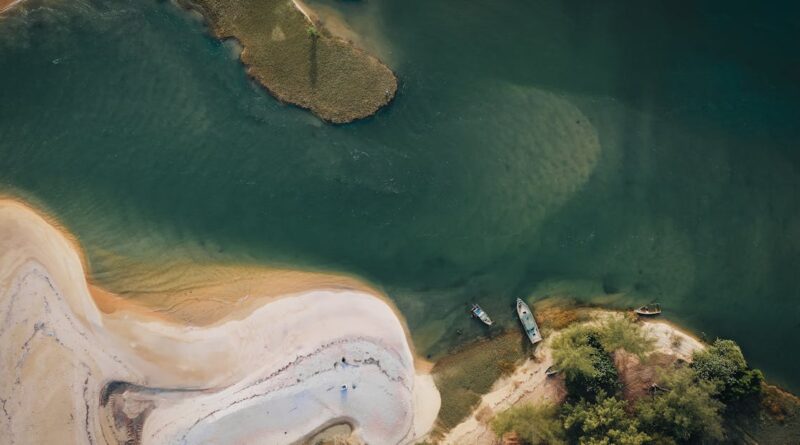 découvrez l'univers fascinant des estuaires, ces zones uniques où les rivières rencontrent la mer. explorez leur écosystème riche, leur biodiversité exceptionnelle et leur importance écologique dans cette introduction captivante.
