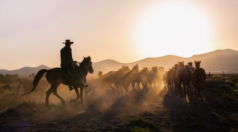 découvrez le monde passionnant de l'équitation ! que vous soyez débutant ou cavalier expérimenté, nos leçons de horseback riding vous offrent une expérience inoubliable à travers la beauté des paysages. rejoignez-nous pour des aventures à cheval qui allient plaisir, apprentissage et connexion avec ces magnifiques animaux.