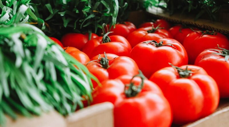 découvrez notre marché dynamique, où les tendances se mêlent à l'innovation et les produits locaux côtoient les marques internationales. explorez une sélection variée qui répond à tous vos besoins, dans une ambiance conviviale et chaleureuse.