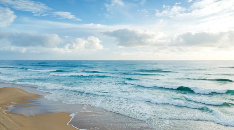 découvrez nos plages de rêve, où le sable doré rencontre les eaux cristallines. offrez-vous des moments de détente et de convivialité en famille ou entre amis. activités nautiques, farniente au soleil et paysages à couper le souffle vous attendent sur nos côtes ensoleillées.