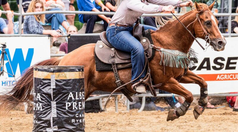découvrez l'univers fascinant des courses de chevaux, où vitesse et stratégie s'allient pour offrir des moments palpitants. suivez les événements, les chevaux et les jockeys qui font vibrer les amateurs de courses à travers le monde.